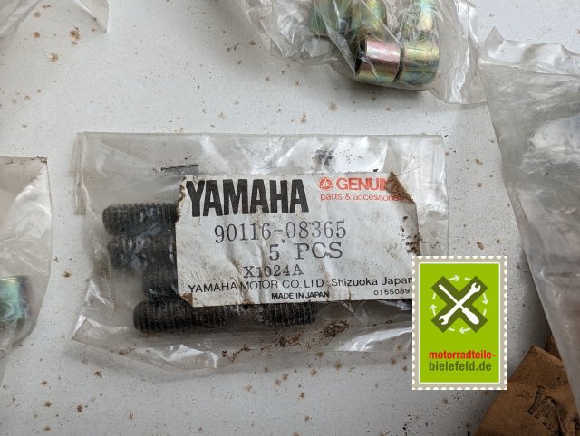 PXL_20240518_102422093